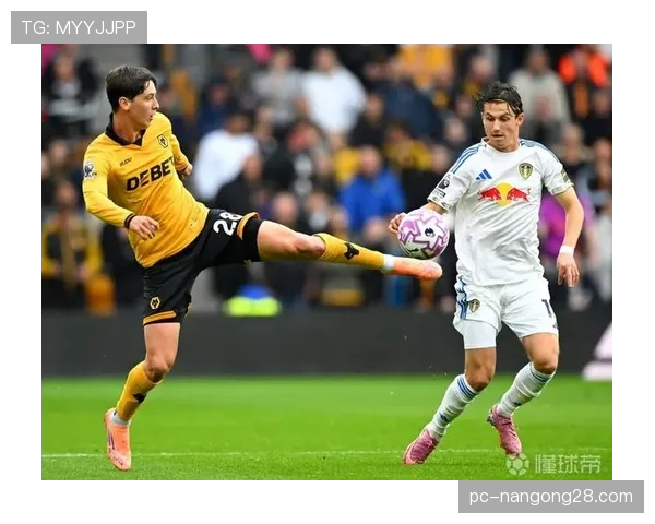 特写：狼队队长在球迷冲突后呼吁现场冷静，比赛中断五分钟