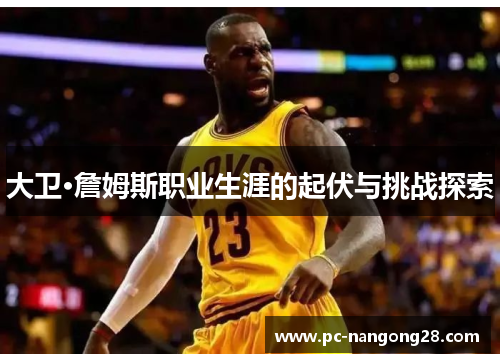 大卫·詹姆斯职业生涯的起伏与挑战探索