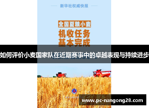 如何评价小麦国家队在近期赛事中的卓越表现与持续进步