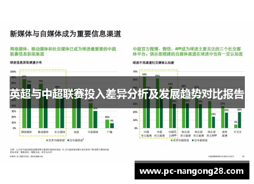 英超与中超联赛投入差异分析及发展趋势对比报告