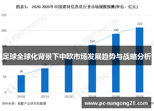 足球全球化背景下中欧市场发展趋势与战略分析