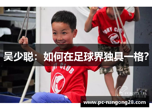 吴少聪：如何在足球界独具一格？