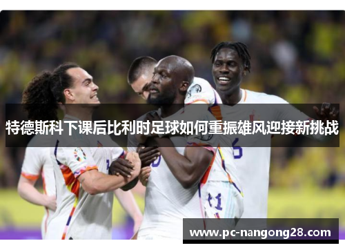 特德斯科下课后比利时足球如何重振雄风迎接新挑战