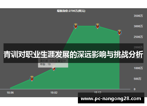青训对职业生涯发展的深远影响与挑战分析